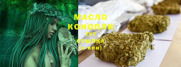 СК Медногорск