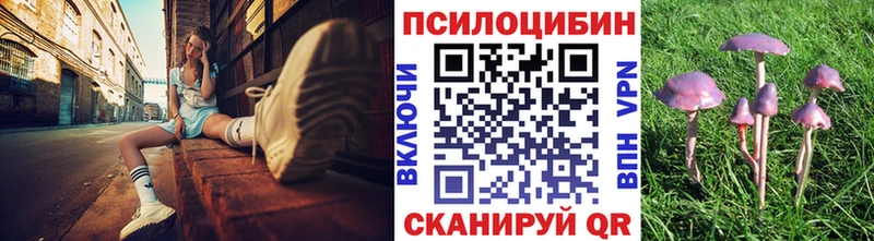 закладка Шелехов Галлюциногенные грибы мицелий